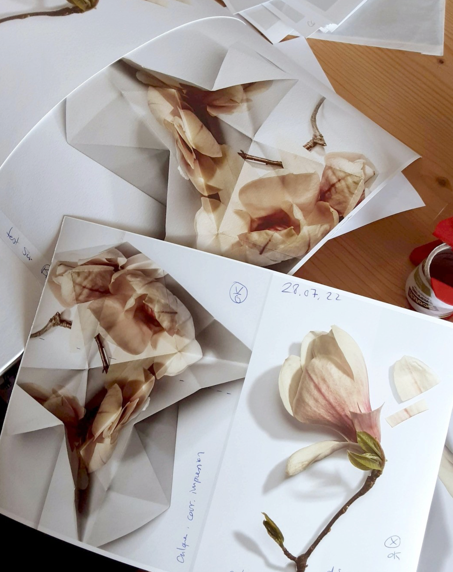 Origami VIII, 2022