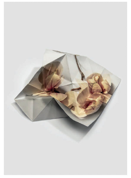 Origami VIII, 2022