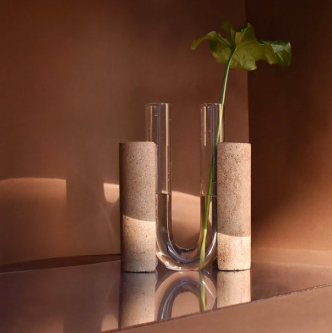 Vase Cochlea Dello Sviluppo