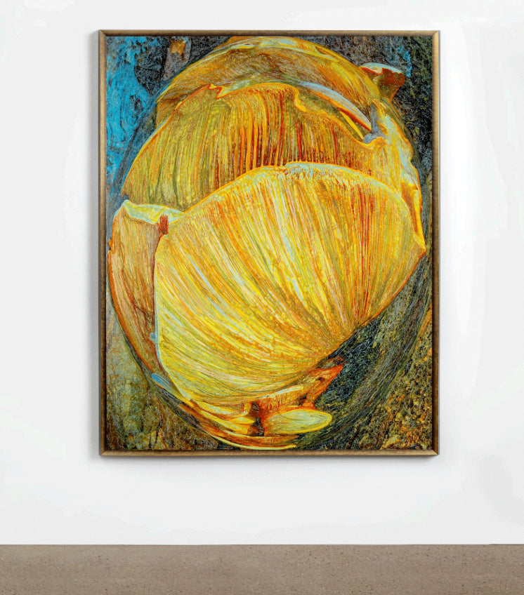 Atlas Lustra (After O'Keefe) : Part X, 2024