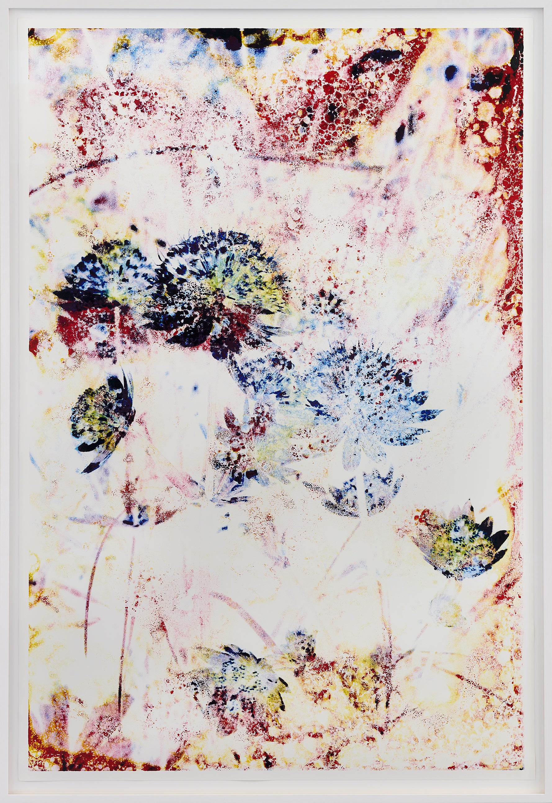 Gardens of Dreams N°15, 2024