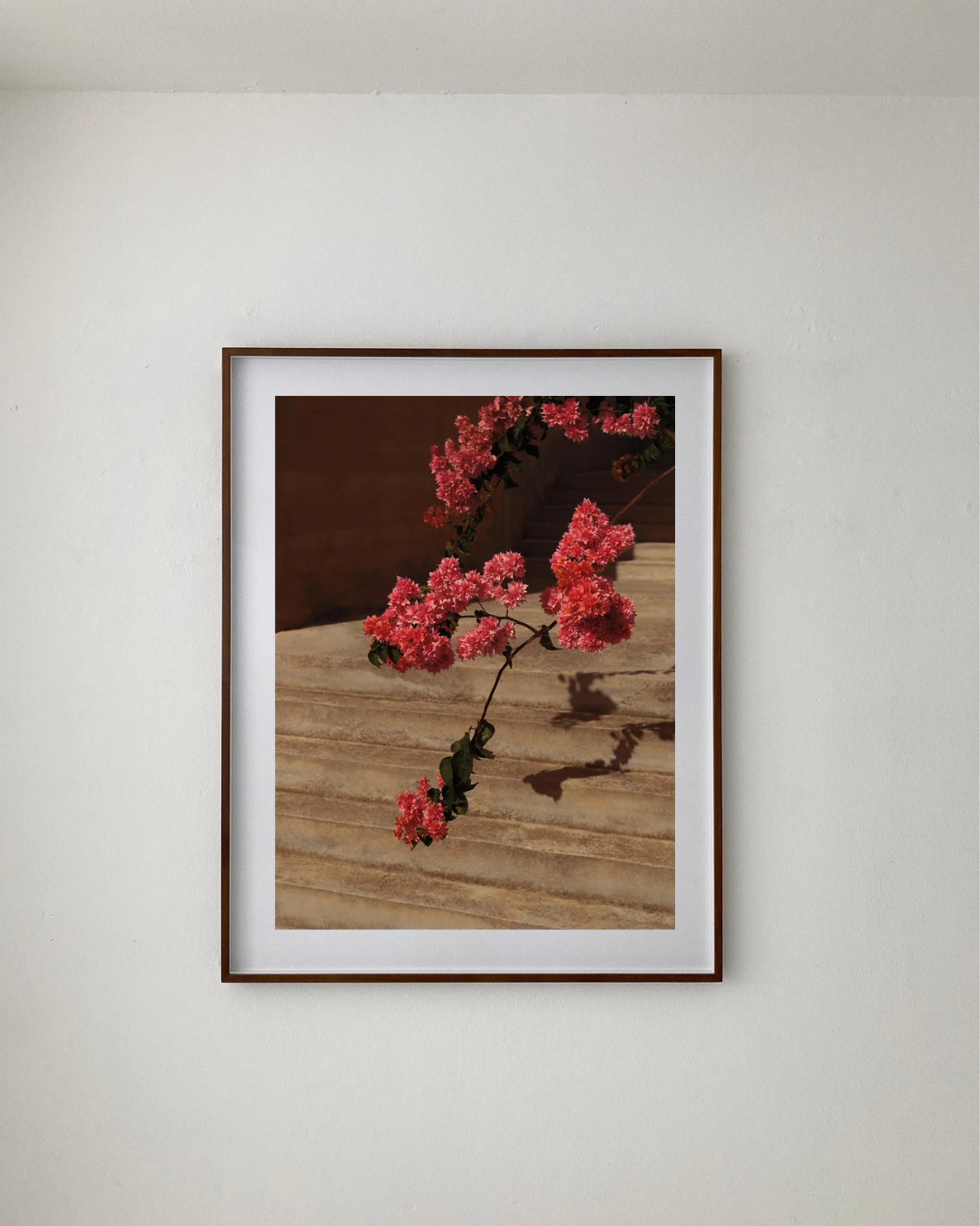 Bougainvillea II, 2023