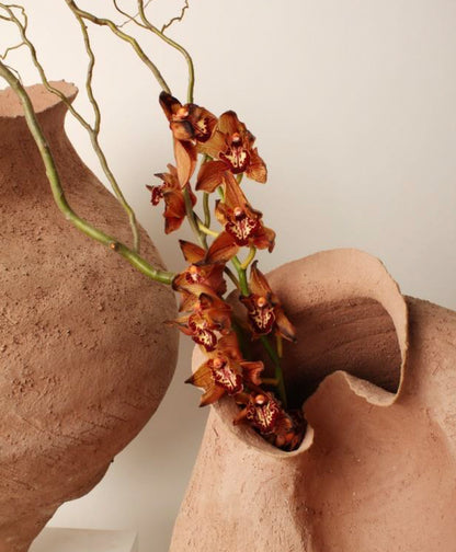 Hatmi, Rooted in Stillness