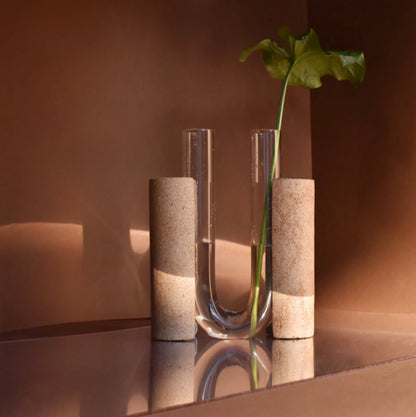 Vase Cochlea Dello Sviluppo